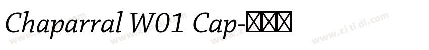 Chaparral W01 Cap字体转换